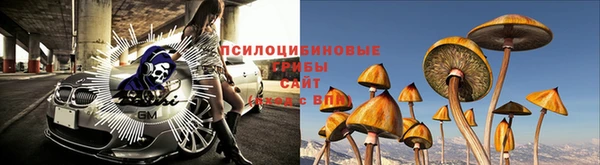 крисы Лихославль