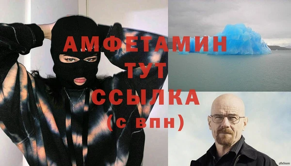 сатива Вязьма