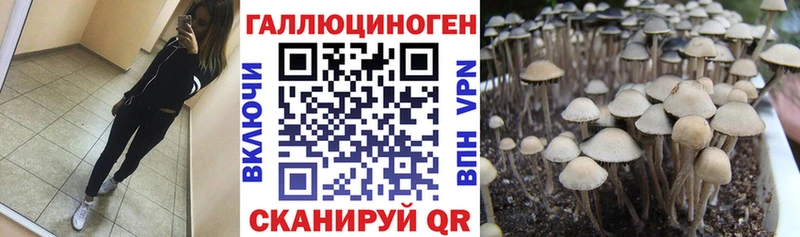 продажа наркотиков  Лакинск  Галлюциногенные грибы GOLDEN TEACHER 